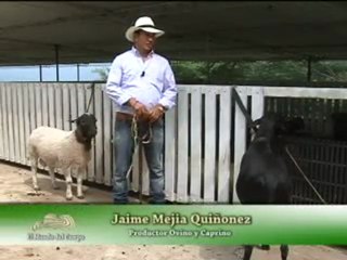 1_31 ENERO 2012 la peñita