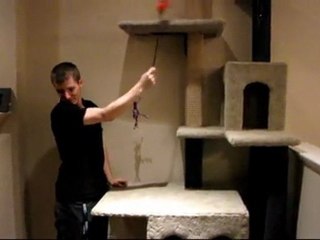 My Cats Love Their Feather Toy Linus Cat Tip #4