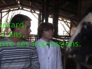 Adaptation - Figeac 01