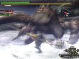 16) Walkthrough : Monster Hunter Tri