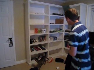 Rocket Fell Down Behind My Built In Bookcase Linus Cat Tips