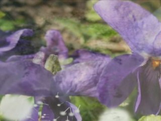 NOUS DORMIRONS ENSEMBLE (ARAGON - FERRAT)