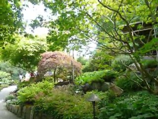 CRUISE (VIKTORIA)-2010 035