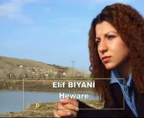 Elif Biyani - Heware - www.elifbiyani.com
