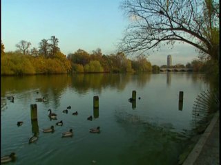 Haydn Symhony No.104 Dmajor,        Menuetto       Allegro