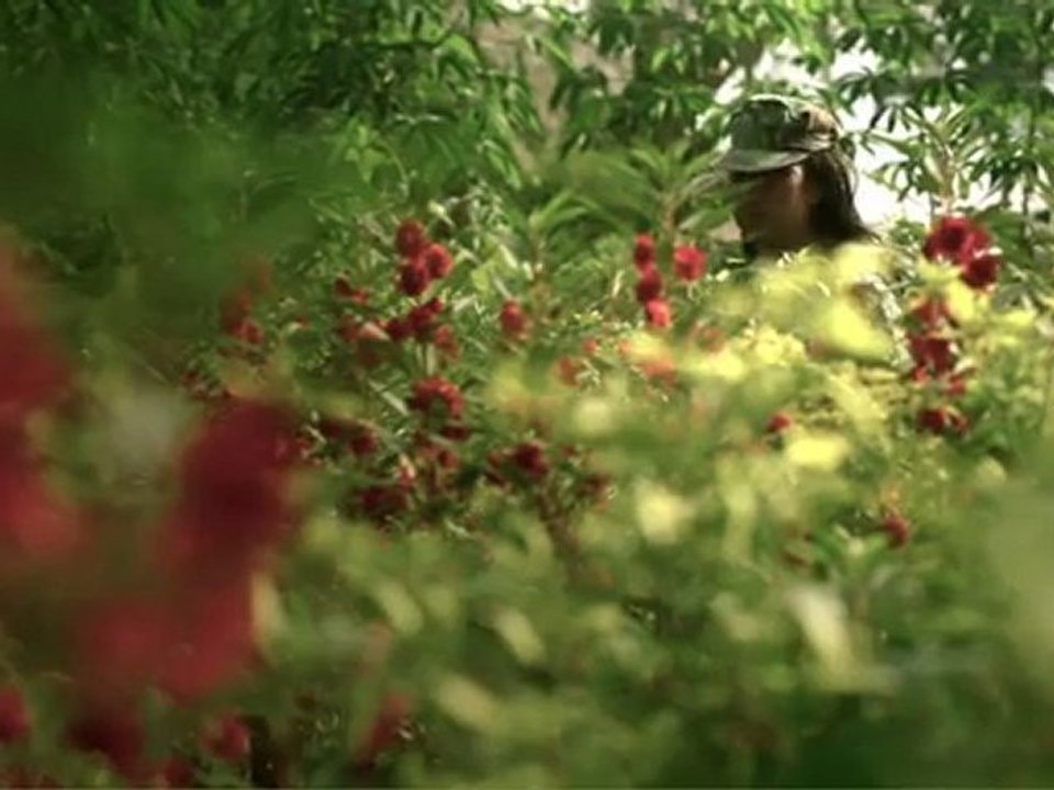 Postcard from Bali (Canon 5d MkII)