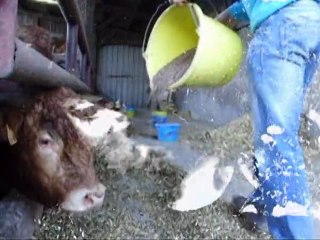 L'irrigation contre la sécheresse