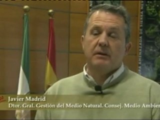 NO  al Real Decreto 1628/2011