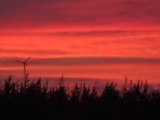 Cape Eleuthera resort sunrise w/ Island School windmill