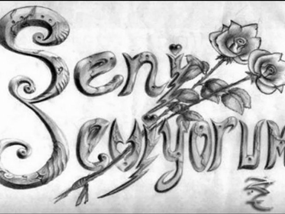 Orhan ÖLMEZ - Seni Seviyorum