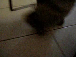 une pointure au dessus