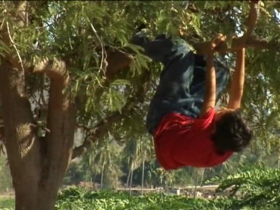 El Árbol