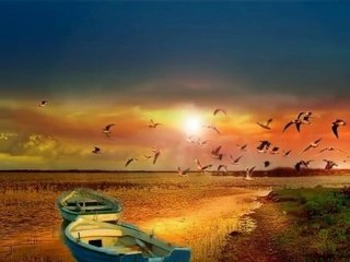 Hamiyet Yuceses-GECELER -