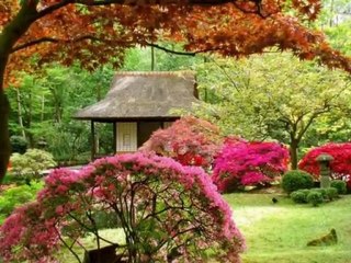 hamiyet yüceses ben küskünüm feleğe -