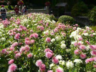 CRUISE (VIKTORIA)-2010 046