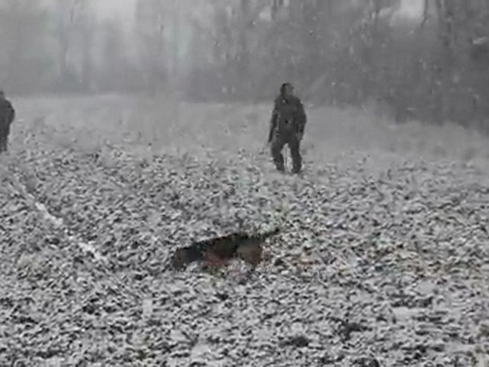 Brevet de chasse chien courant 30 Janvier 2012 dans les 2 sevres chez J.M LAIDET (le départ)
