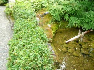 CRUISE (VIKTORIA)-2010 041