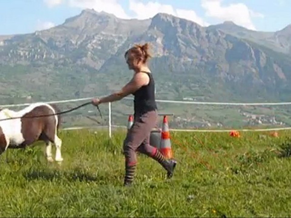 Anné 2011, Gipsy King, Loustic, Tam et Komète