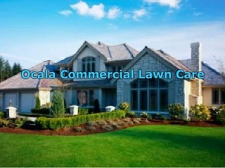 How To Get The Best Lawn In Ocala