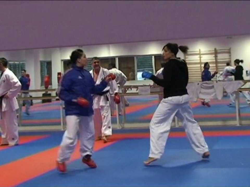 Stage Equipe de France karaté combat - 29 janvier 2012