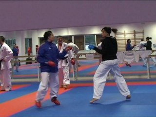 Stage Equipe de France karaté combat - 29 janvier 2012