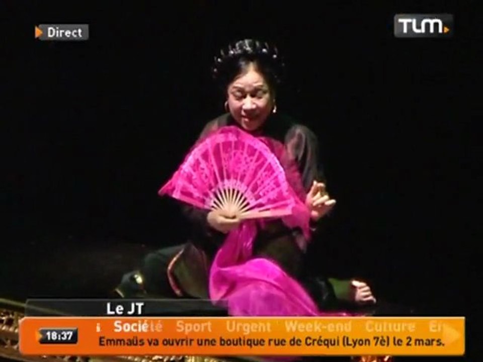 Les marionnettes du Vietnam à Lyon