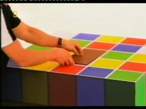 Percepcion: Los engaños del cerebro