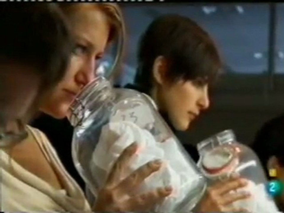 Feromonas y atraccion: Androstenona y copulina (Karl Grammer)