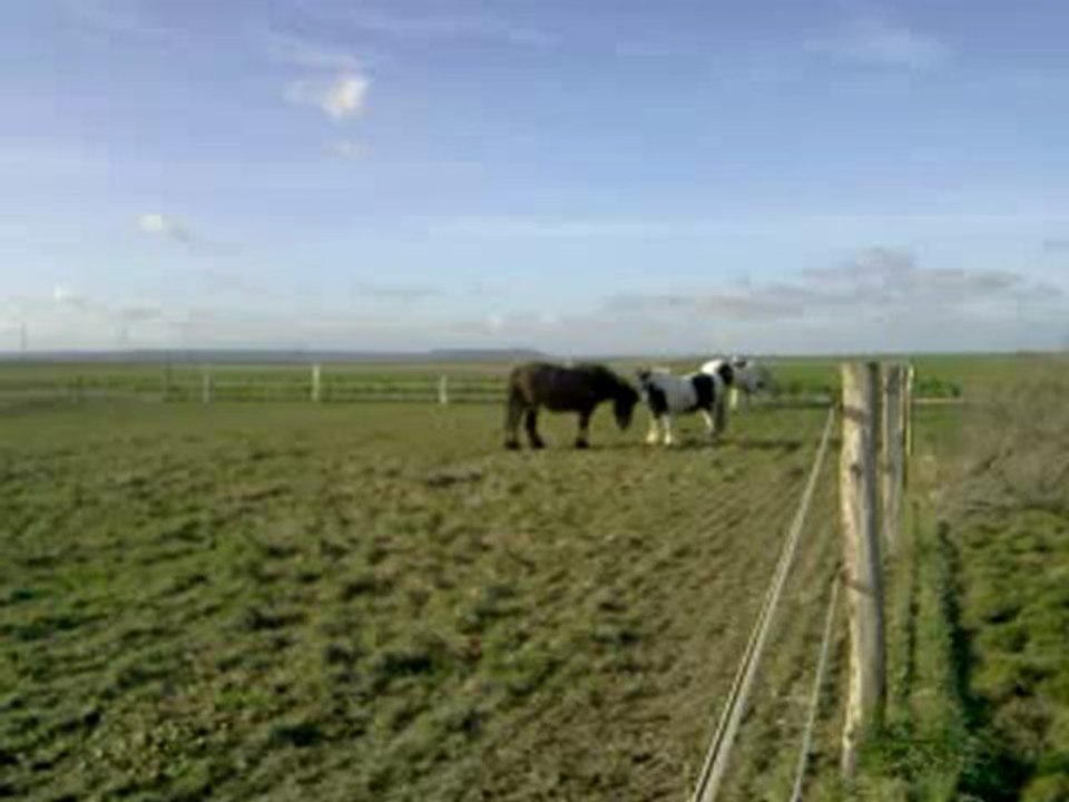 univer et freezouille