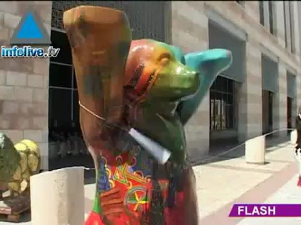 Flash de Información