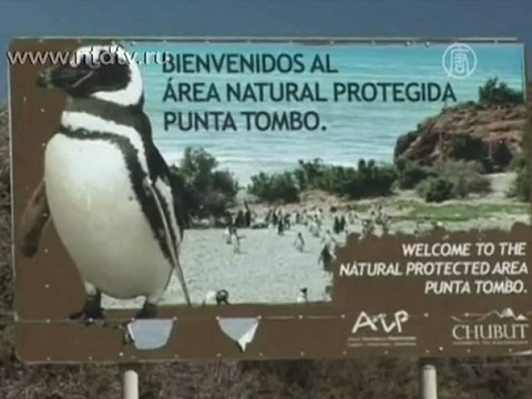 Красота аргентинской природы привлекает туристов