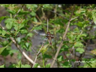 montage blog1 01.02.2012