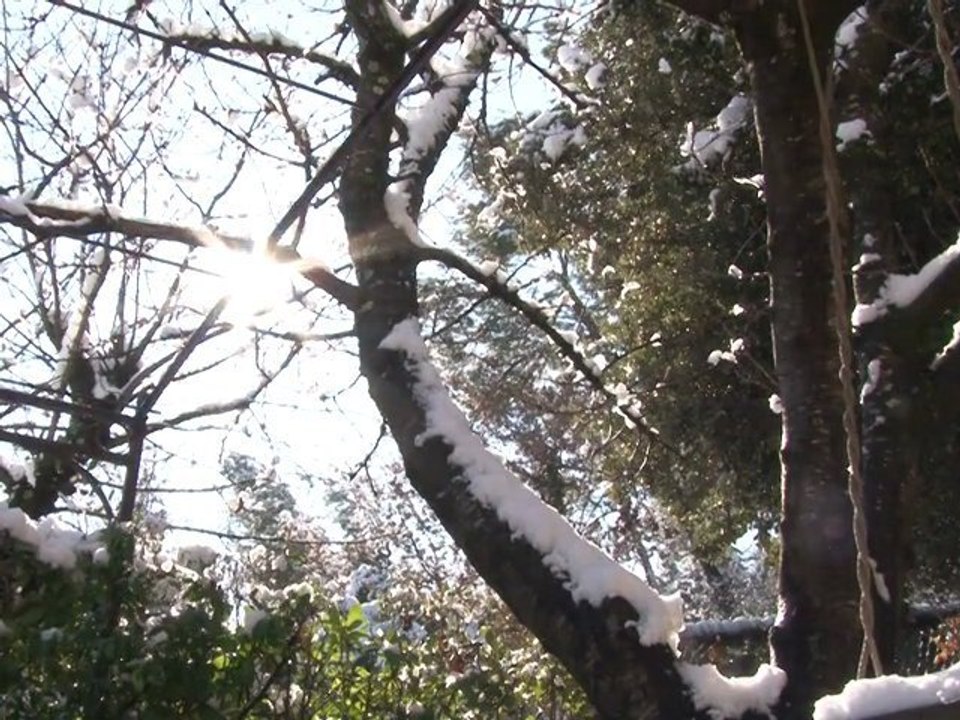 Snow Motion