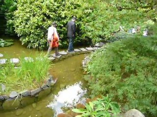 CRUISE (VIKTORIA)-2010 040