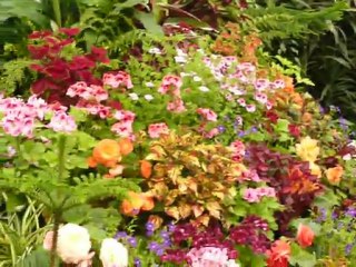 CRUISE (VIKTORIA)-2010 049