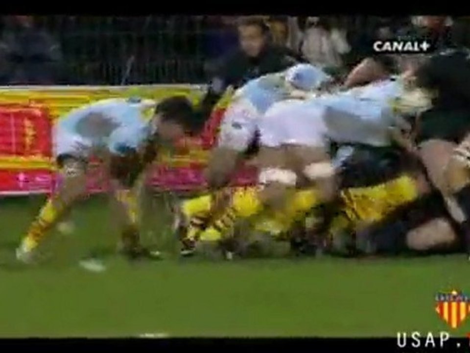USAP - Toulouse 2008-2009