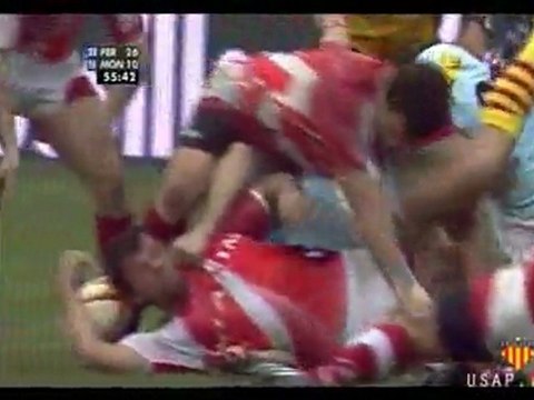 USAP - Montpellier 2008-2009