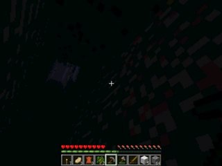 video minecraft survie  (2)