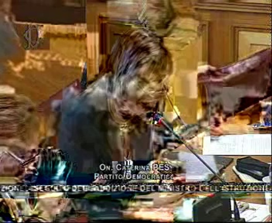 Roma - Audizione del Ministro Francesco Profumo