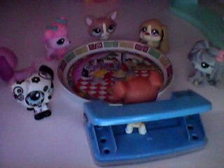 petshop trop cool les vacances