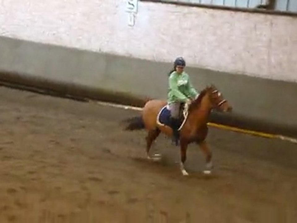 Unkey ; Travail barres au sol