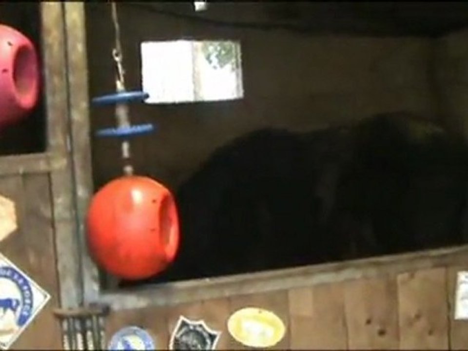 Rick et Blue, hiver 2012
