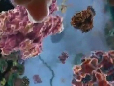 Сущность в круговороте жизни и смерти (2011г.)