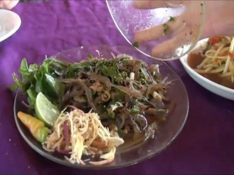 Trip Gourmand Fred, tu manges quoi Les crevettes vivantes - Laos - Vientiane - YouTube [freecorder.com]