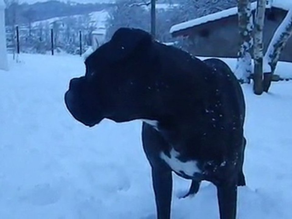 tyson 31 01 2012 (1)