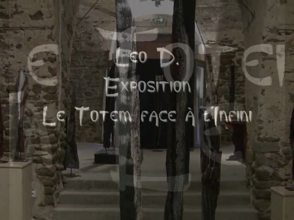 Totems face à l'Infini - Léo D