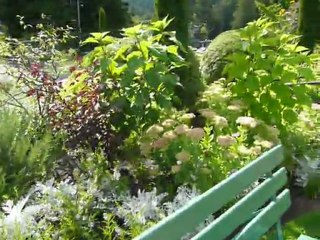 CRUISE (VIKTORIA)-2010 050