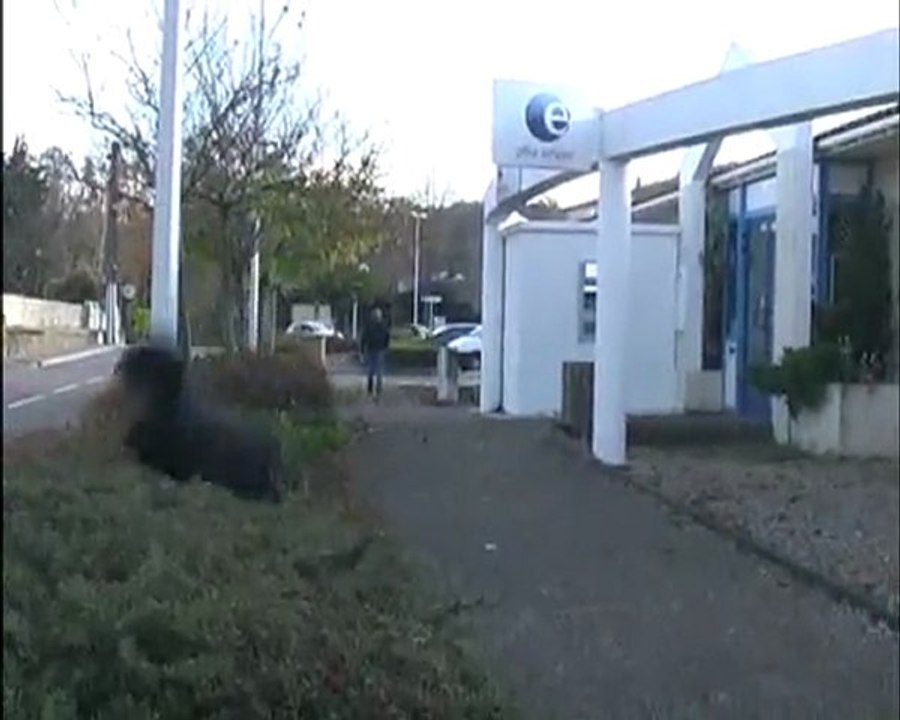 cascade burlesque et connerie universelle