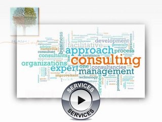 MITRI CONSEIL - Management & Technologies Internet