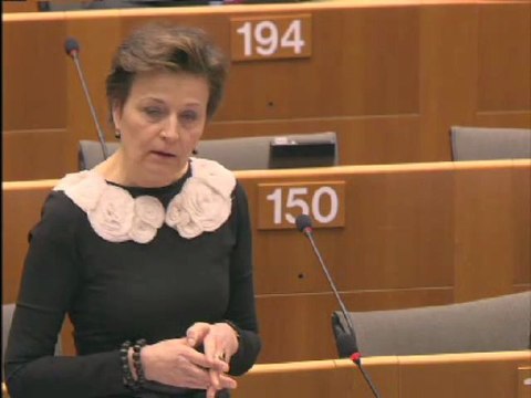 Anneli Jäätteenmäki on EU foreign policy towards the BRICS